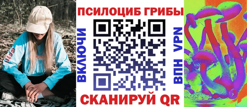 Псилоцибиновые грибы Cubensis  Лодейное Поле 